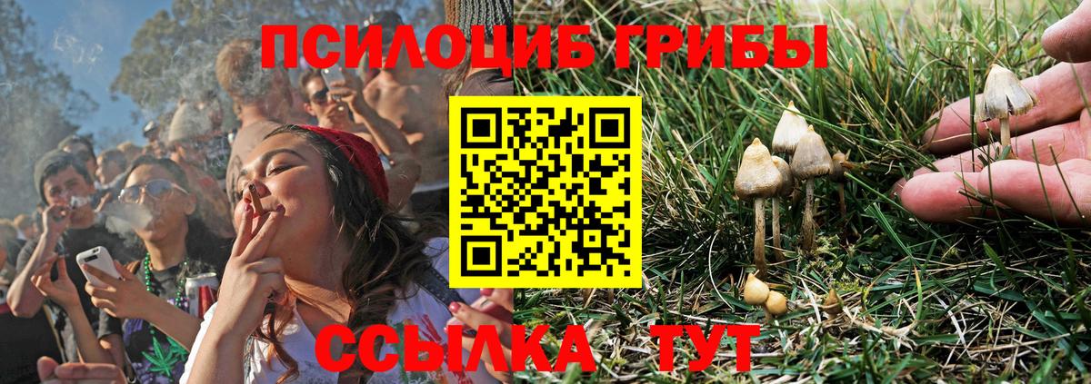 Галлюциногенные грибы GOLDEN TEACHER  Вход с VPN  Дивногорск 