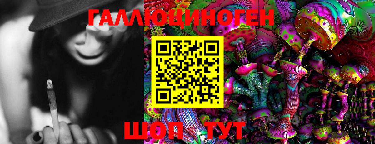 Псилоцибиновые грибы мицелий  Дивногорск  как найти закладки  Псилоцибиновые грибы мухоморы 