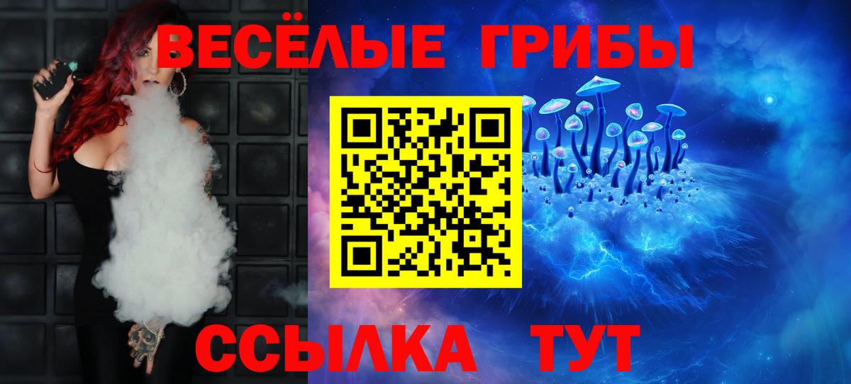 Псилоцибиновые грибы GOLDEN TEACHER Дивногорск